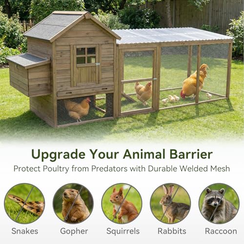 Amagabeli Hardware Cloth 8 inch x 25 ft 1/4 Inch Galvanized Wire Mesh Small Animal Barrier for Foundation Vents Fence Gaps Shed Bottom Chicken Coop Repair Rustproof Critter Blocker Screen DIY Craft - size: 1/4" 8"x25'