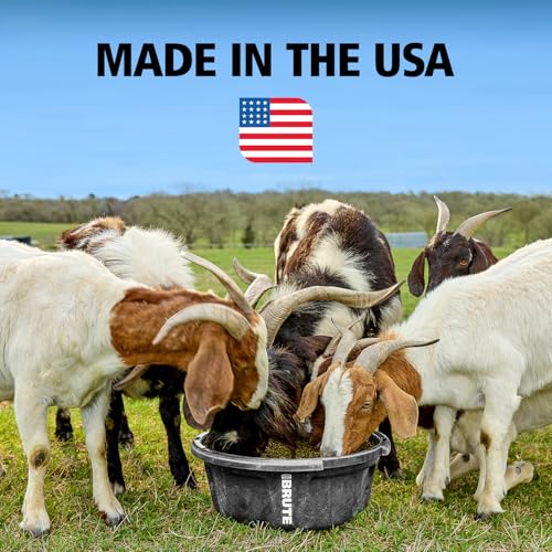 Rubbermaid Commercial Products Brute 6-Gallon Animal Pan Feeder, RigidCell Construction, Stackable Livestock Feed Bowl, Made in USA - size: 6 Gal, style: Pan Feeder
