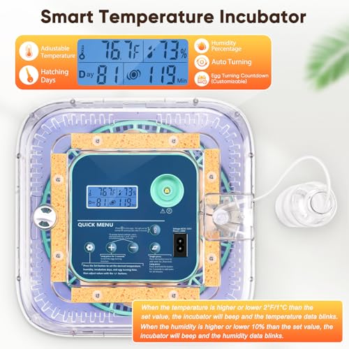 Incubators for Hatching Eggs, Smart Egg Incubator with Humidity & Temp Control and Auto Turner, 360° View Incubadora De Huevos De Gallina for Chicken, Duck, Quail Eggs, Ideal for Farm, School and Lab
