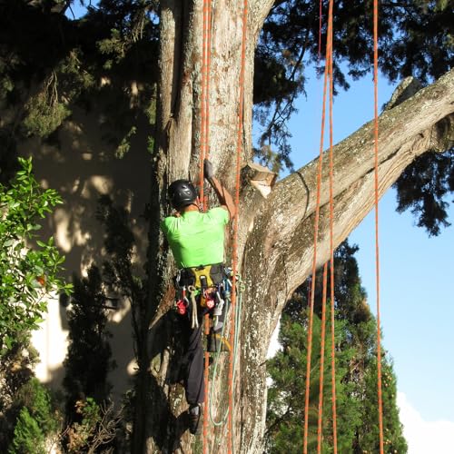 1/2 inch x 100ft Arborist Tree Climbing Rope – 48 Strand Polyester Static Bull Rope, 9000lb Breaking Strength – Heavy Duty Utility Line for Swing Pulling, Outdoor, Marine Use – ASTM F2116 Certified - size: 1/2IN x 100FT, style: Orange