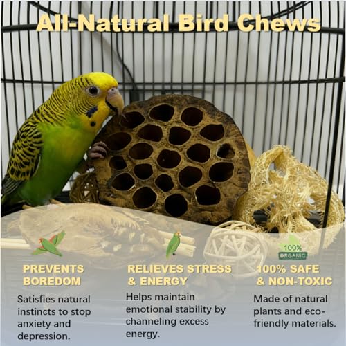 Bird Toys - Lotus Pod Foraging Box, 10 Natural Ingredients | Chewing and Shredding Parrot Toys | Ideal for Parakeets/Cockatiels/Conures/Lovebirds and Small to Medium Birds - size: Lotus Pod Foraging Box