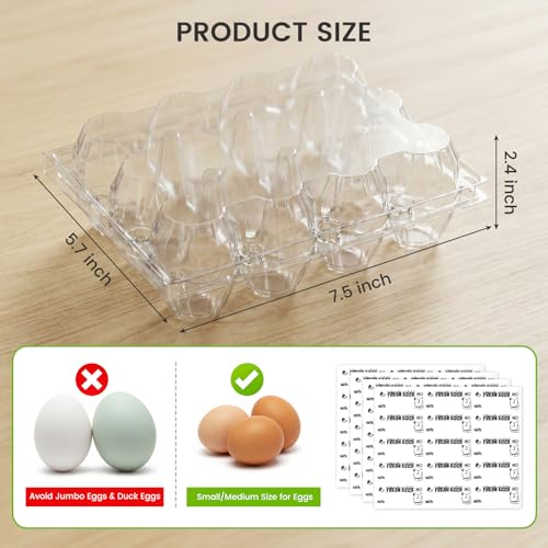 100 PCS Plastic Egg Cartons Bulk with Date Labels, 12 Count | Clear Reusable Egg Holder for Fresh, Medium Eggs Storage, Suitable for Farms, Families, Markets Display