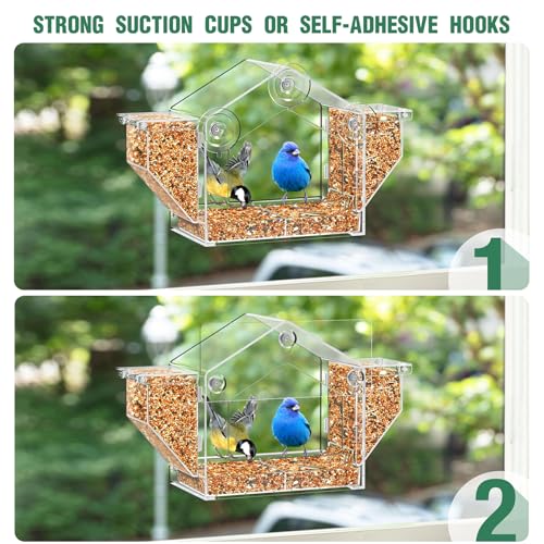 Window Bird Feeder with Dual Side Storage, Strong Suction Cups and Adhesive | High Capacity Outside Birdfeeder for Window, Close-up Viewing for Indoor Cats & Seniors, Ideal Nature Gift