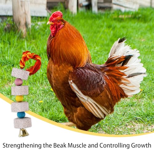 2 Pcs Large Chicken Chewing Toy with Bell Chicken Coop Accessories Chick Beak Grinding Calcium Stone for African Greys Amazon Conure Eclectus Budgies Parakeet Cockatiel Hamster