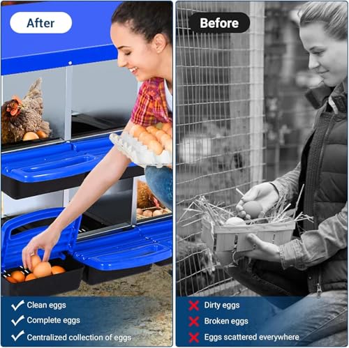 Chicken Nesting Box,Chicken Egg Laying Box with 8 Compartments, Roll Away Eggs Laying Boxes, Nesting Boxes, Indoor & Outdoor Use,Easy Egg Collection, Easy Cleaning - color: Blue, size: 8 holes