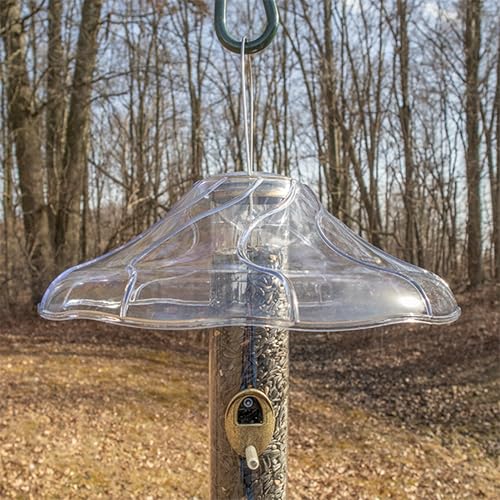 Aspects Fancy Swirl Protective Dome for Tube Feeders, 14" Diameter