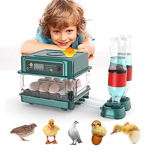 Automatic Egg Incubator, 12 Eggs,for Hatching Chicken Quail Bird Duck Eggs | 12-38 Eggs Capacity, Automatic Turner, Egg Candler, Intelligent Temperature Control - style: 12 EGGS