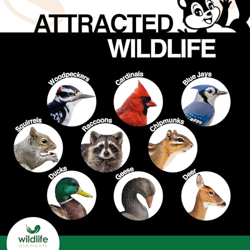 Wildlife Elements Peanut Party Unprocessed, Raw Shelled Peanuts Wildlife Animal Food, 25lb - Rich in Protein, Healthy Fats, and Essential Nutrients for Birds, Squirrels & Waterfowl - size: 25lb, style: Shelled