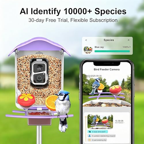 birdsnap® PAV Bird Feeder with Camera Solar Powered 2K Live Video 64GB Card | AI Bird Species Identification, Instant Arrival Alerts, IP65 Waterproof, Wild Bird Feeders for Outdoors, Gift for Bird Lovers - color: Purple