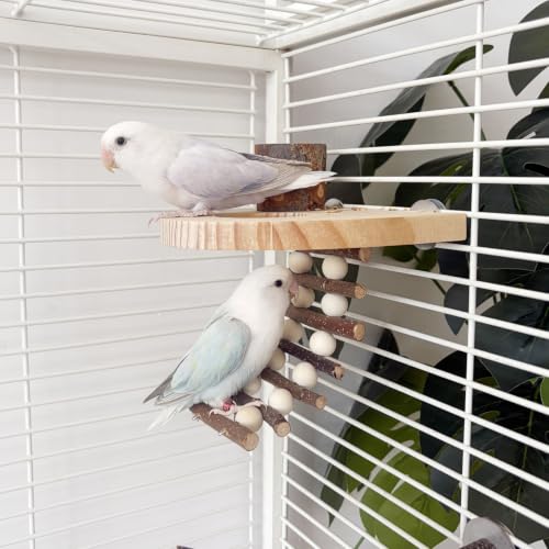 Climbing Toys for Hamster and Small Parrot, Natural Apple Wood Playing Toys | Cage Accessories for Guinea Pig, Gerbils, Chinchillas, Rats, Parakeets, Conures, Syrian, Bird, Mice