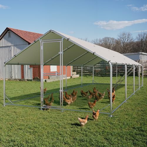 Large Metal Chicken Coop, Outdoor Chicken Run with Cover, 10 x 26 x 6.5 FT | Heavy-Duty Poultry Enclosure & Chicken Pen with Split Doors, Galvanized Steel Frame, Free Wire Mesh Fence and Roosting Ladder - size: 10' x 26'