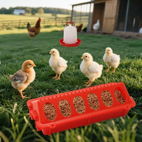 Chick Feeder and Waterer Set,Automatic 1L Hanging Chicken Waterer and Plastic Flip Top Chick Feeder for Baby Chicks,Ducks,and Quail,Brooder Starter Kit
