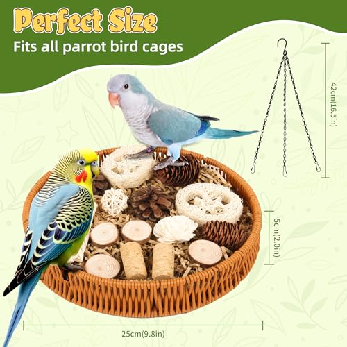 Bird Toys Natural Bird Foraging Toys Parrot Shredding Toys(Large) | Nature material,20PCS Set Conure Chewing Toys hanging basket for Cockatiel Lovebird Parakeet Budgie and Small to Medium Birds - size: Large