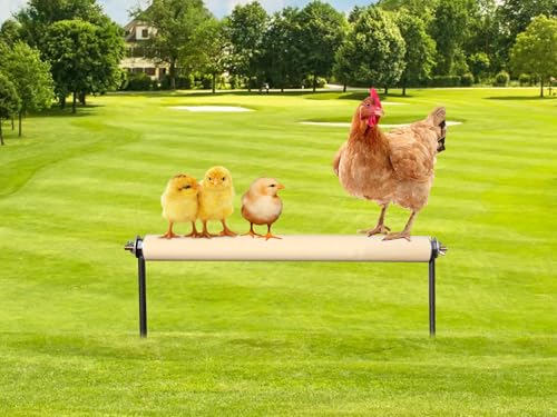 Chicken Perch Toys, Wooden Chick Perch Stand with Metal Ground Plug, Outdoor Birds Training Platform, Chicken Coop Accessories, Suitable for Poultry Rooster Chicks Large Birds Chicks Parrots - size: 17.7 Inch Long