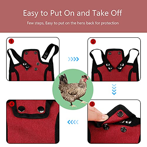 2 Pieces Premium Chicken Saddle for Hens and Roosters, Outdoor Hen Saddles with Adjustable Strap, Chicken Sweater Aprons, Birds Feather Protector for Back and Sides, Suitable for 5-7.6lbs, Red & Blue