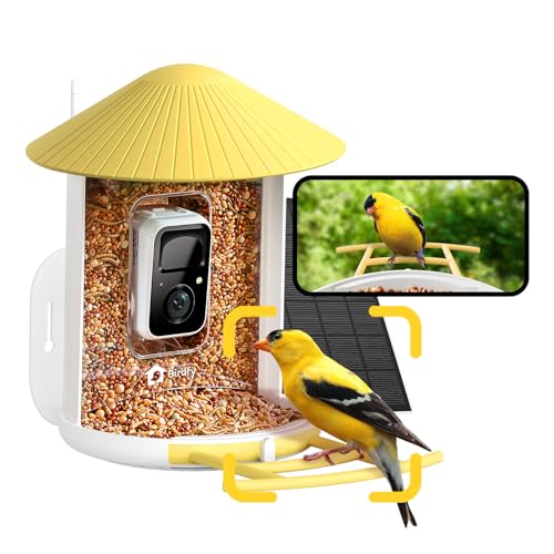 NETVUE by Birdfy Smart Bird Feeder with Camera, No Subscription, 1080P | AI Bird Species Identification, No Subscription, Night Vision, Live Stream, 2.4GHz Wi-Fi, Gifts for Bird Lovers, Yellow - color: Yellow, style: AI Solar