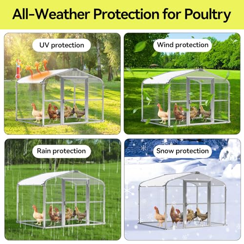 Klmnop Chicken Coop Cover, Waterproof 11.8 x 6 ft Chicken Coop Tarp Cover for Winter with Ball Bungees Cords for Large Coops, Walk-in Chickens Run Pen, Chicken Run(White)