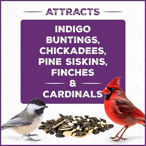 Pennington Songbird Nut & Fruit Blend Wild Bird Seed for Outside Feeders | Songbird bird seed for outside feeders, advanced nutrition formula with real fruit, nut & seeds, birdseed for wild birds
