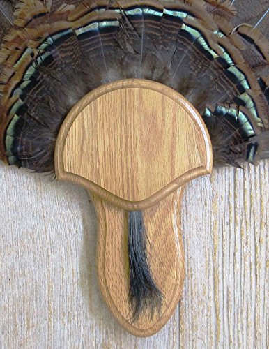 The Medium Oak Turkey Mounting Kit with Beard Plate -02