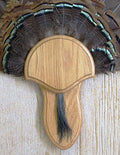 The Medium Oak Turkey Mounting Kit with Beard Plate -02