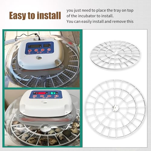 Quail/Bird Egg Turner Tray Compatible with Nurture Right 360 Incubator Tray | Quail Birds Egg Turner Tray, 48 Slot Small Egg Rotating Tray -Egg Turning Rack Easy Use, Vanshly