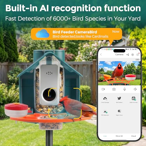 Smart Bird Feeder with Camera, Dual Solar Panel & 2K HD Live Streaming, AI Bird ID + Instant Alert, IP65 Weatherproof for Outdoor Garden Patio, Gift for Bird Lovers