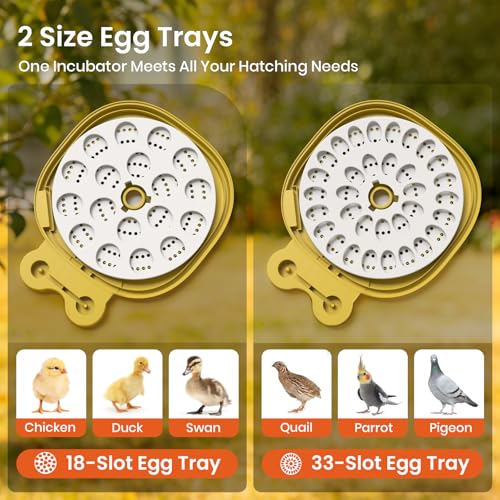 Egg Incubators for Hatching Eggs with Automatic Egg Turning & Humidity Control - 18/33 Egg Capacity, LED Display, Auto Water Refill & Built-in Candler for Chicken, Duck, Quail, Turkey Eggs