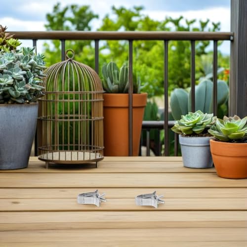3pcs Bird Food Clips Birds Cage Food Clip | Stainless Steel,Pet Feeder Bird Food Holder Parrot Cage Supplies Pet Supply Cuttlebone Clamps Parrot Fixed Birdcage