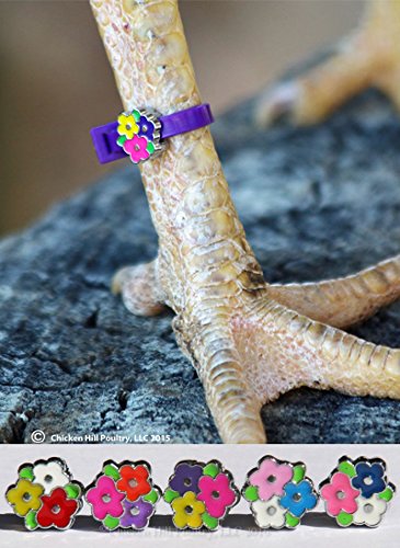 20 Chicken Charm Poultry Leg Bands - Includes Americas Favorite Super Hero's