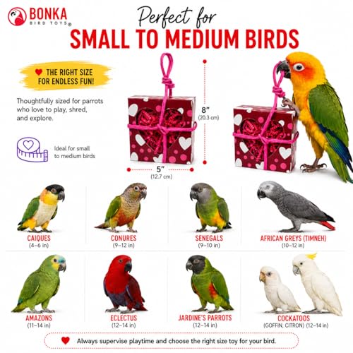 Bonka Bird Toys 2764 Valentine Heart Box Forager 8" x 5" Shreddable Paper and Rope Valentine Treat Toy for Small and Medium Birds Mental Enrichment and Cage Activity Conure Cockatiels and Similar