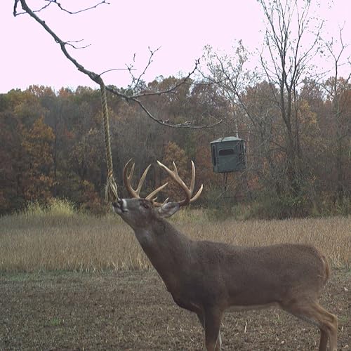 Wildlife Research Center Golden Rope Scent Rope Kit Deer Attractant