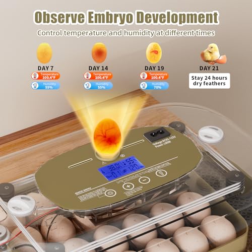 XOTTI Incubator for Hatching Eggs, 24 Egg Incubator with Precise Temperature Control, Auto Egg Turner, 360° Clear View, LED Candler, Alarm for Chicken Duck Quail Goose for Home School Farm Lab - size: 24 Eggs