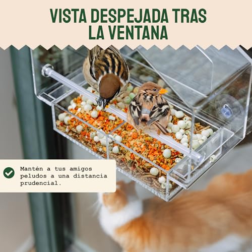 Hatortempt Window Bird Feeder - Set of 2, Clear Plastic - Squirrel-Proof Design with Strong Suction Cups - Wild Bird Feeders for Outdoors & Backyard Birding & Wildlife Viewing
