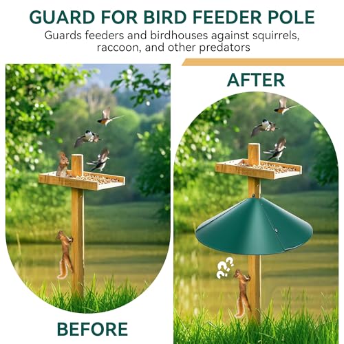 Qualirey 21.5" Metal Squirrel Proof Baffle, for 4 x 4 Posts(Green,1 Pack) | Wrap Around Guard for Bird Feeder Pole to Deter Squirrels - color: Green