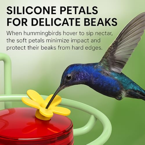 Dreamdrawer Window Hummingbird Feeder, Small Hummingbird Feeder for Outdoors with Strong Suction Cup - Metal Base & 6 Feeding Ports, Easy to Clean and Refill - color: 1PC-Green