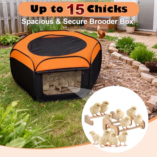 Brooder Box for Chicks, Pop-Up Chicken Brooder Playpen with Dual Doors | Includes Mesh Top Cover and Waterproof Mat, Portable Enclosure for Chicks, Ducklings, and Quail, Holds Up to 15 Chicks