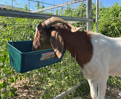 Large Feed Trough and Goat Feeder - 2 Pack Hanging Feeder with Clips, Waterer Bucket, Fence Feed Trough, Goat Supplies, 10 Quart - color: Cyan