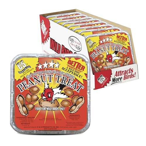 C&S Peanut Suet Treat, Suet Cakes for Wild Birds, Pack of 8 | Suet cakes for woodpeckers, made with real peanuts, use in a suet feeder year-round - style: Peanut, 8 Pack