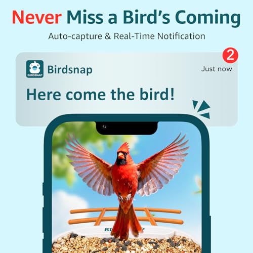 birdsnap® TUC Bird Feeder with Camera Solar Powered 2K Video with 32GB Card | AI Bird Species Identification, Squirrel-Proof, IP65 Waterproof, Outdoor Wireless, 2.4G WiFi, Gift for Mom Dad Bird Lovers - color: Orange