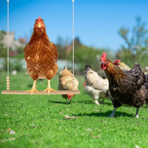 Chicken Perch & Swing Set for Coops, Wooden Roosting Bars with Feeding Net, Easy Assemble Chicken Coop Accessories for Backyard Poultry