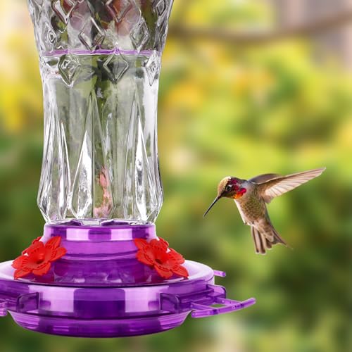 Glass Hummingbird Feeders for Outdoors, Built-in Ant Moat, Purple | 15oz, 4 Bee Guard Feeding Ports with Perches, Leak Proof, Stars Decor, Easy Refill & Clean, Gifts for Women Men Mom Dad - color: Purple