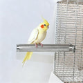 AOTU Large Bird Perch Stainless Steel Parrot Perches Bird Stand for Cage Durable Beak & Claw Trimming Grinding Perch for Birds Parrot Cage Accessory (M: 9.8" x 1.2") - size: M: 9.8" x 1.2"