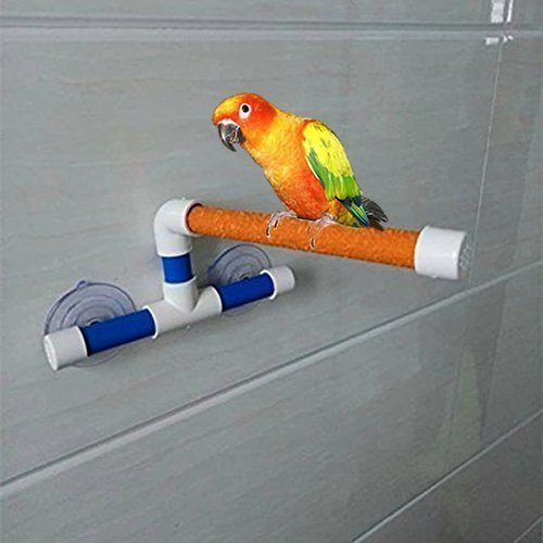 Bird Shower Perches, Protable Bird Shower Stand with Suction Cup Scrubbing Wooden Stick Creative Fold Away Window Stand (Scrub Wooden) Non-Slip