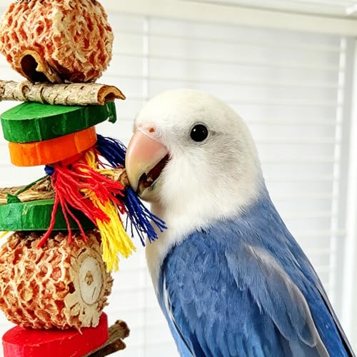 3-in-1 Parrot Toys(Swing + Perch + Chew Toy) | Colorful Parakeet Swing Toy Natural Sisal Rope Adjustable Bird Perch for Chewing and Balance Training for Lovebirds