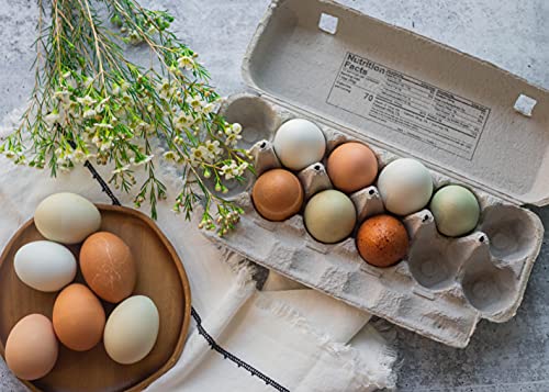 Blank 12-Egg Flat Top Paper Pulp Egg Carton with Nutrition Facts, Safe Handling Info, Optional UPC - 125 Pack