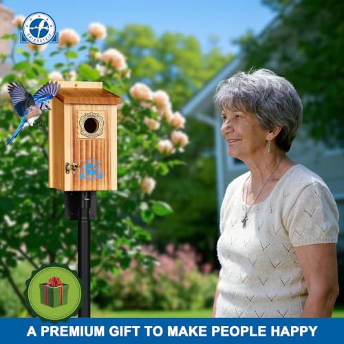 SISTERBIRD Preminum Bluebird Houses for Outside, Wooden Bluebird House, Birdhouses for Outdoors Courtyard, Festival Bird Nesting, Assembly Bird Box, Bluebird Finch Swallow Wren Chickadee - color: Medium Toast Vintage -- 1PK