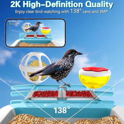 TayePin Bird Feeder with Camera Solar Powered & AI Identify 10,000+ Birds Species, 2.4Ghz WiFi Smart Feeding, 2K HD Live Video for Outdoor, IP65 Waterproof, Instant Arrival Alerts, Bird Lover Gifts