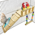 Bird Wooden Play Gyms Stands with Climbing Ladder and Acrylic Wood Swing for Green Cheeks, Lovebirds, Finches, Conures, Cockatiels, Parakeets, Bird Perches Cage Play Chewing Toys