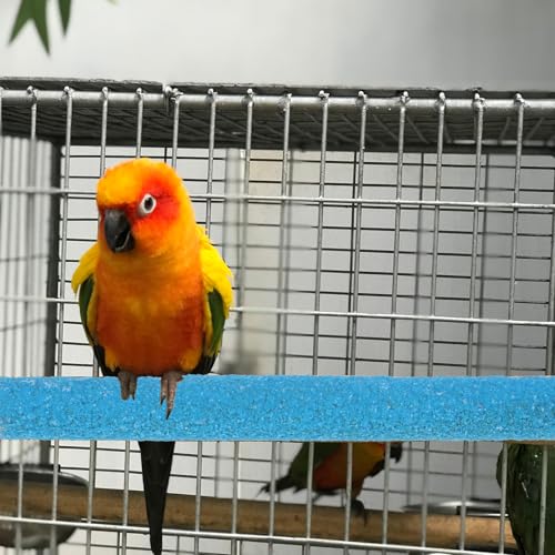Bird Perches for Cage, 2 PCS Parrot Perch Bird Cage Perch Toy Paw Grinding Stick Cages Wooden Grinding Claw Sticks Sanded Surface Cages Toy for Parakeets Finches Parakeet Toys Birdcage Accessories - color: Blue, Green