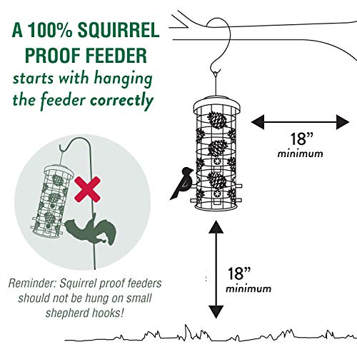 Perky-Pet Squirrel-Be-Gone Max Pinecone Bird Feeder with Flexports – 1.75 lb Capacity